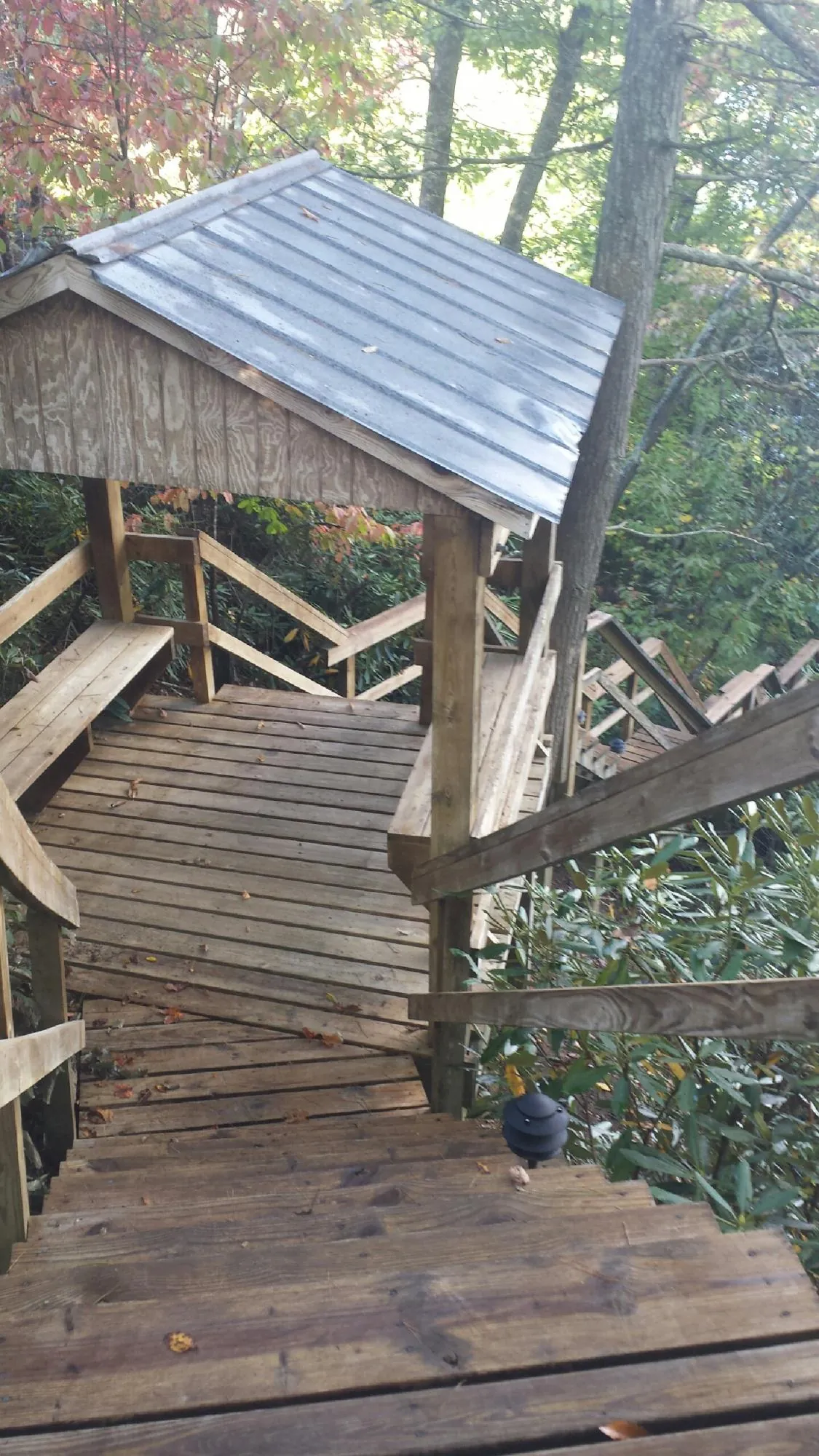 Metal roofed shelter over wooden steps on a wooded walkway — Skylight Repair & Installation work by our crew in Beltrami